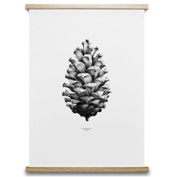Bilde av 1:1 Pine Cone poster hvit, 50x70 cm