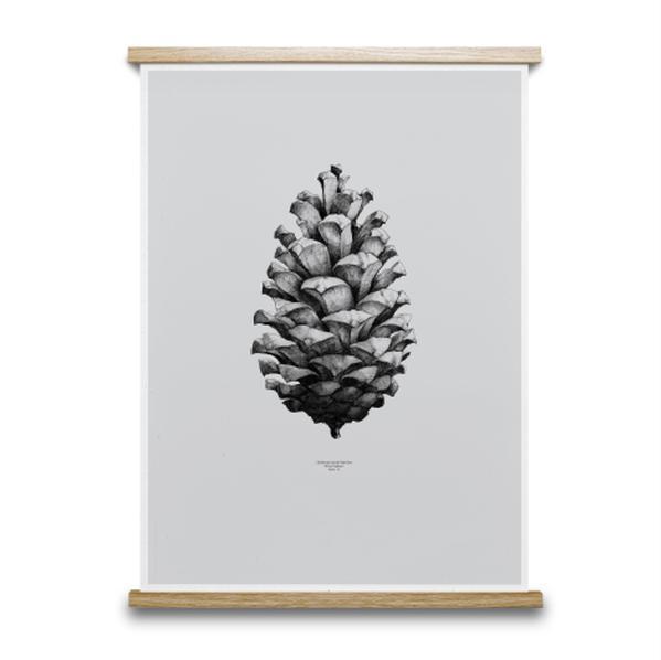Bilde av 1:1 Pine Cone poster grå 50x70 cm