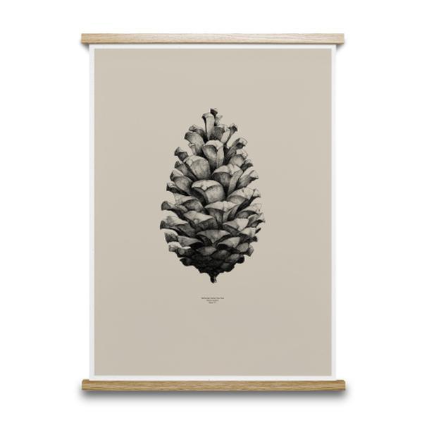 Bilde av 1:1 Pine Cone poster sand, 50x70 cm